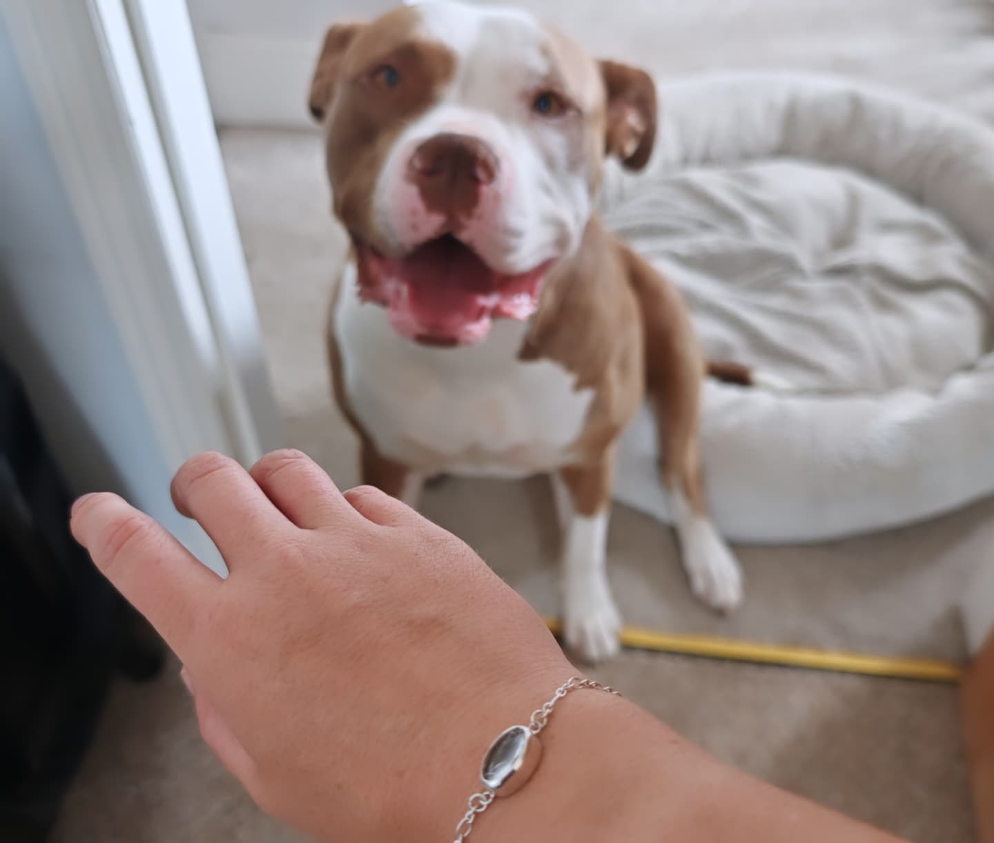 Custom Hair keepsake jewellery (deposit)